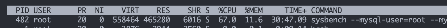 sysbench-top /why-sysbench-dont-reconnect-after-kill/images/sysbench-top.png